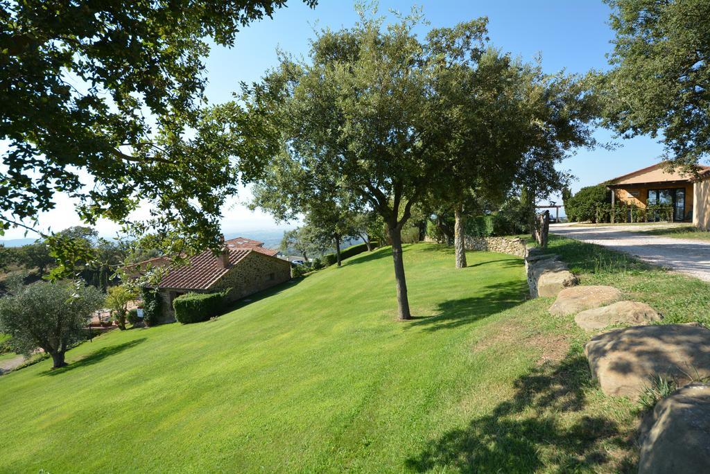 Agriturismo Podere L'Aione Scansano Ngoại thất bức ảnh