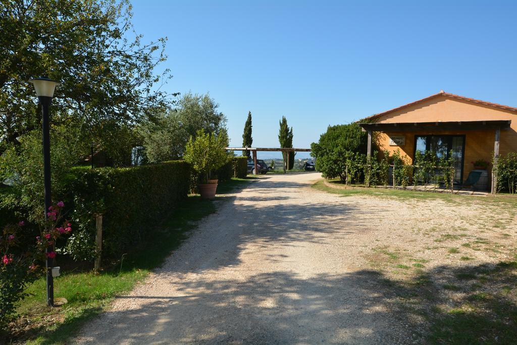 Agriturismo Podere L'Aione Scansano Ngoại thất bức ảnh
