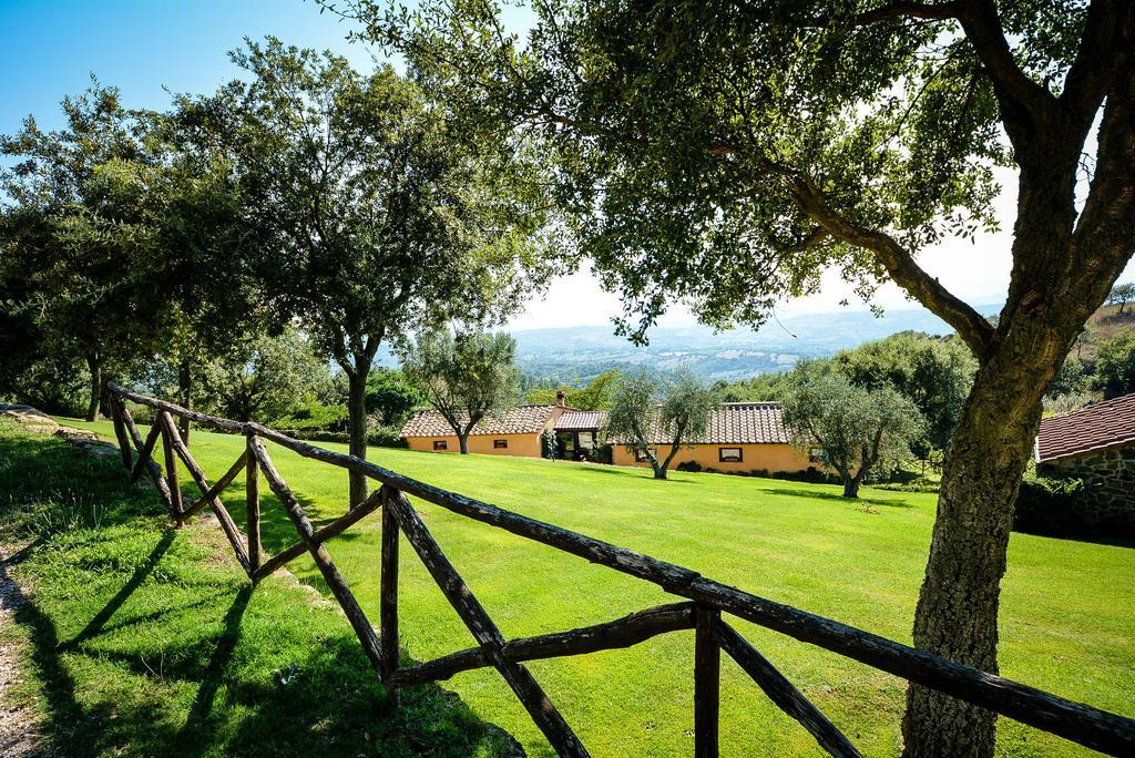 Agriturismo Podere L'Aione Scansano Ngoại thất bức ảnh